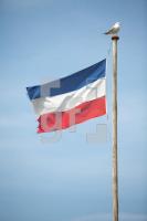 NG22_Flagge01_0164.JPG