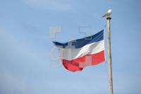 NG22_Flagge10_0117.JPG
