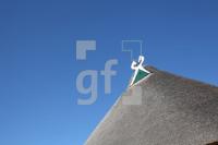 NG24_Molfsee03_0147.JPG
