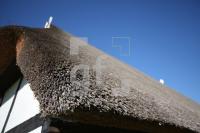 NG24_Molfsee05_0153.JPG