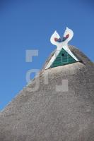 NG24_Molfsee08_0159.JPG