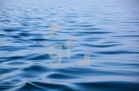 NJ15_Wasser01_1495.jpg