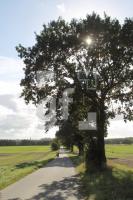 NL08_Ploen16_0132.JPG