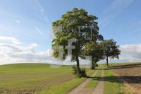NL08_Ploen18_0139.JPG