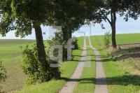 NL08_Ploen20_0152.JPG