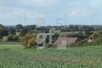 NL08_Ploen22_0156.JPG