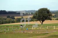NL08_Ploen23_0160.JPG