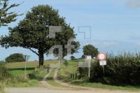 NL08_Ploen27_0183.JPG