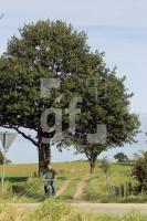 NL08_Ploen29_0193.JPG