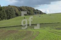 NL08_Ploen31_0128.JPG