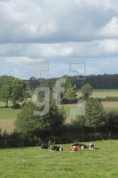 NL08_Ploen36_0146.JPG