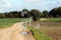 NL08_Ploen37_0150.JPG