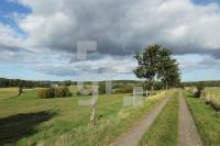 NL08_Ploen42_0166.JPG