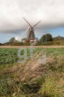 NL11_Foehr17_1300.jpg