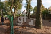 NL12_Foehr11_1300.jpg
