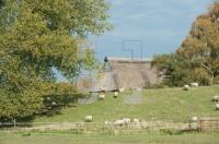NL18_Ha03_0774.jpg