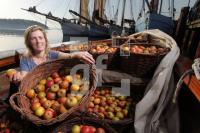 NL19_Apfel01_0176.jpg