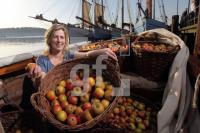NL19_Apfel03_0174.JPG