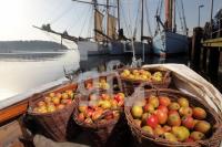 NL19_Apfel04_0170.JPG