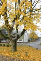 NL19_Osterby01_0169.JPG