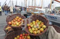 NL20_Apfel05_0186.JPG