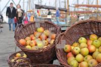 NL20_Apfel06_0144.JPG