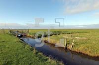 NL24_Hooge36_0150.JPG
