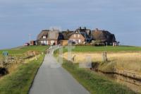 NL24_Hooge44_0105.JPG