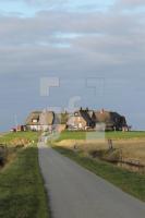 NL24_Hooge46_0111.JPG