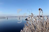 NN12_Winter17_0193.JPG