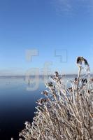 NN12_Winter18_0194.JPG