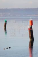 NN12_Winter20_0101.JPG
