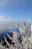 NN12_Winter30_0179.JPG