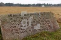 NN29_Amrum02_1300.jpg