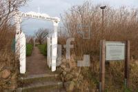 NN29_Amrum03_1300.jpg