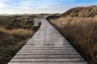 NN29_Amrum09_1300.jpg