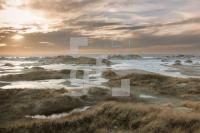 NN29_Amrum12_1300.jpg