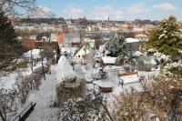 OE21_Winter01_0151.JPG