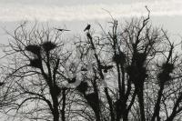 OF17_Husum02_1300.jpg