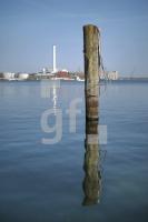 OF17_Poller_0102.JPG