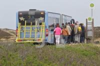 OG16_Sylt35_0164.JPG