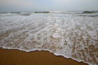 OG16_Sylt77_0120.JPG