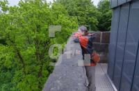 OG16_Wald03_0711.jpg