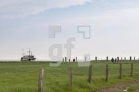 OG28_Oland19_1300.jpg