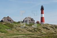 OH04_Leucht01_0179.JPG