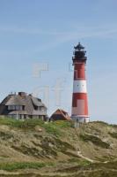 OH04_Leucht02_0181.JPG