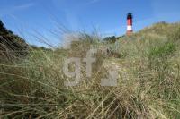 OH04_Leucht12_0167.JPG