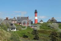 OH04_Leucht35_0197.JPG