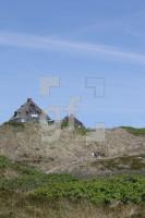 OH04_Reet33_0101.JPG