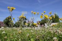 OH18_Luebeck26_0184.JPG